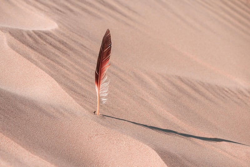 Desert Adventure