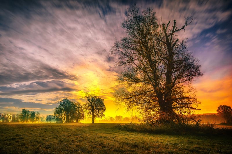 Nature Retreat